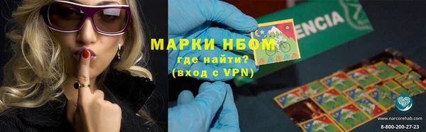 стаф Бородино