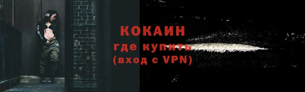 стаф Бородино