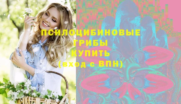 стаф Бородино